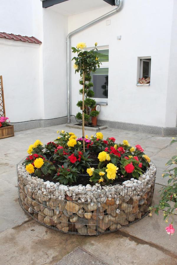 Pension Budissin Bautzen Esterno foto